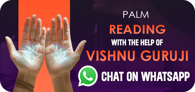 Palm Reading - Chat on Whatsap with Vishnu Guruji